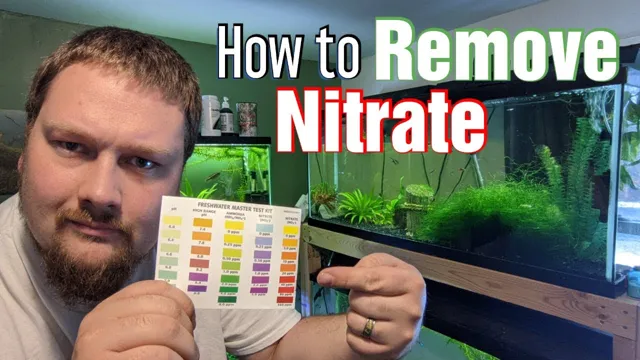 How to Get Rid of Nitrites in Aquarium: Effective Methods to Keep Your Fish Healthy and Happy