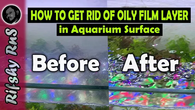 how to get rid of oil on aquarium surface