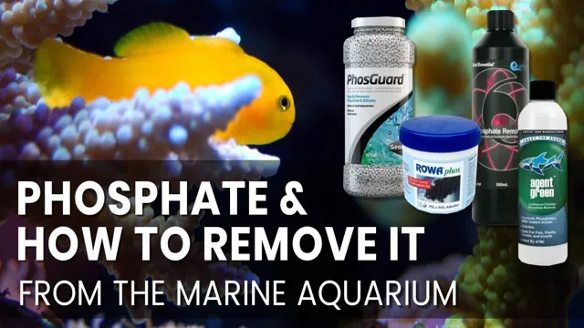 how to get rid of phosphates in reef aquarium