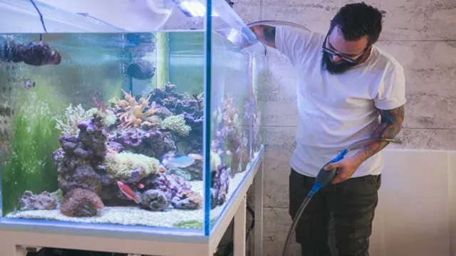 how to get rid of silicates in aquarium