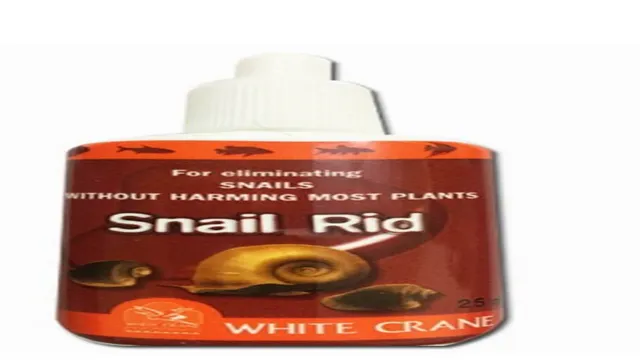 How to Get Rid of Snail Infestation in Aquarium: Best Methods and Tips