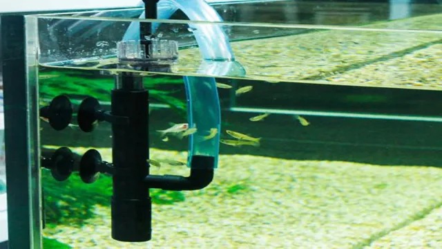 How to Get Rid of Surface Protein in Your Aquarium and Maintain Clear Water