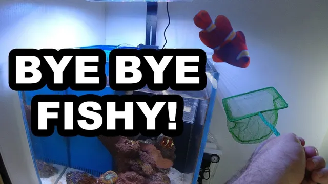 How to Get Rid of Unwanted Aquarium Fish: Easy and Effective Solutions