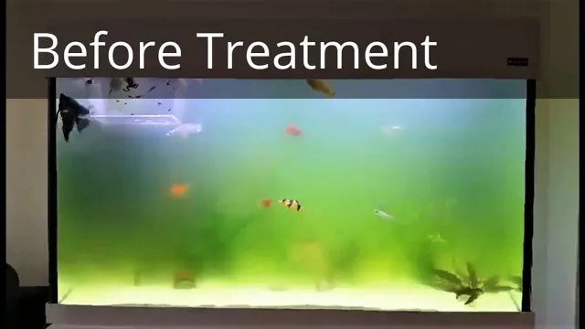 How to Get Rid of Yellow Aquarium Water: Effective Tips and Tricks