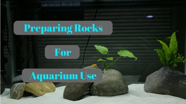 How to Get Rocks Out of Aquarium: A Step-by-Step Guide