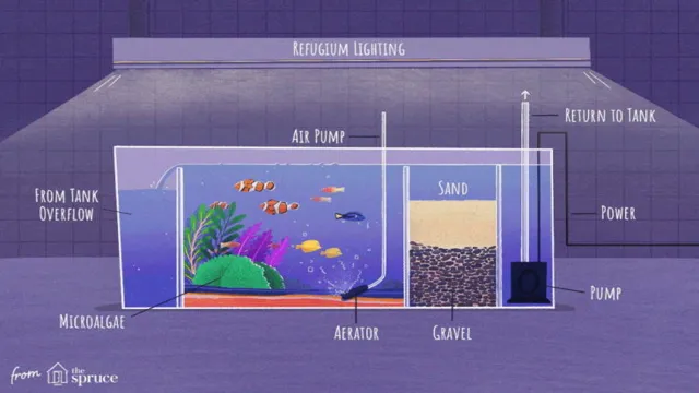 How to Get Salt Water Scum Off Aquarium: Tips and Tricks…