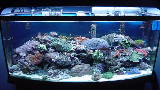 how to get saltwater aquarium crystal clear