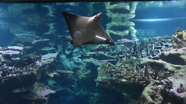 How to Get to Cherbourg France Aquarium from Cruise Terminal: Easy Guide