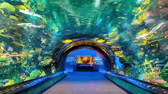 How to Get to Coney Island Aquarium: Your Ultimate Guide to Navigating to the Best Attraction