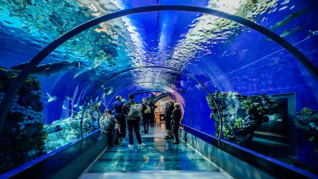 How to Get to Copenhagen Aquarium: A Comprehensive Guide to Reach the Destination