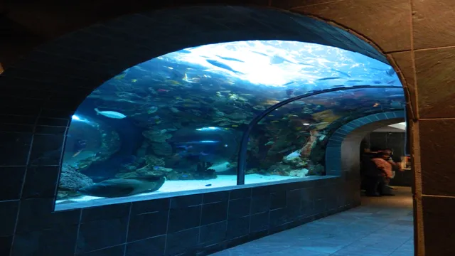 how to get to dallas world aquarium