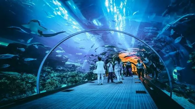 how to get to dubai aquarium