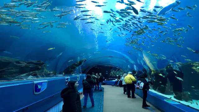 how to get to georgia aquarium