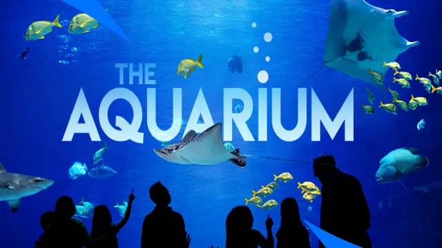 How to Get to Georgia Aquarium by Marta: A Step-by-Step Guide for Visitors