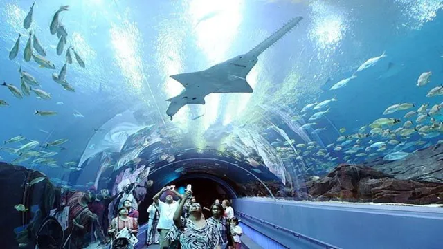 How to Get to Georgia Aquarium: A Guide to Convenient Transportation Options