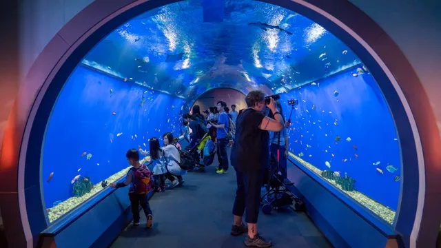 how to get to kaiyukan aquarium