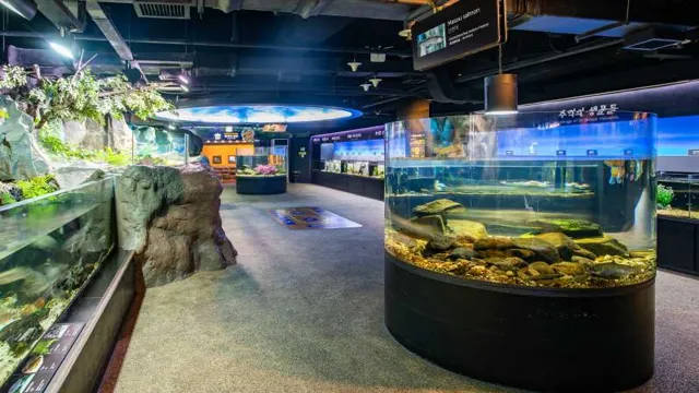 how to get to korean folk town from aquarium