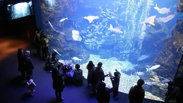 how to get to kyoto aquarium