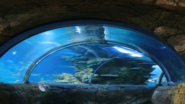 how to get to london aquarium
