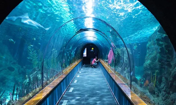 How to Get to London Aquarium from Liverpool&hellip;