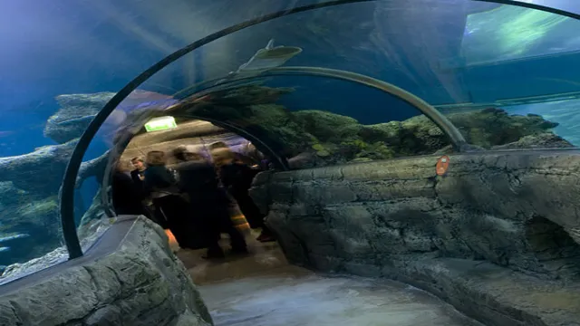 How to Get to London Aquarium from Waterloo Station: A Step-by-Step Guide