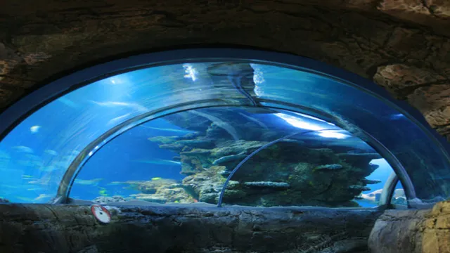 How to Get to London Aquarium from Waterloo: A Complete Guide