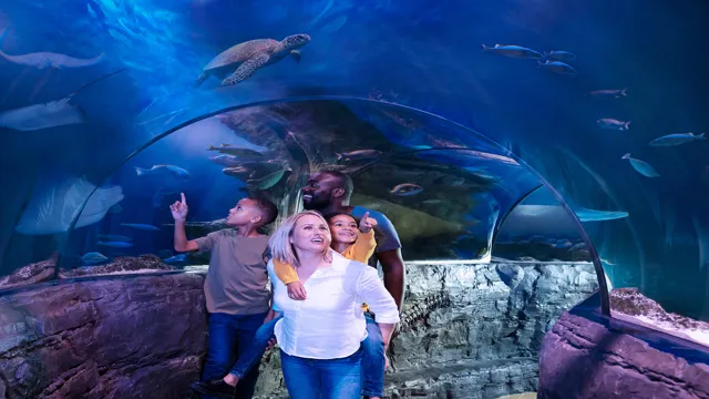 How to Get to London Aquarium: Tips for an Easy Journey