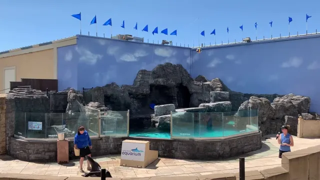 How to Get to Long Island Aquarium from Manhattan: A Complete Guide