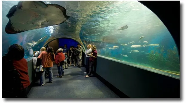 How to Get to Melbourne Aquarium by Train: The Ultimate Guide for Hassle-Free Commute