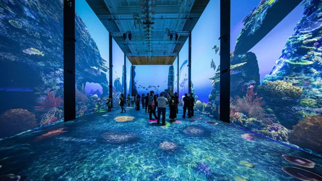 How to Get to Monaco Aquarium: Your Ultimate Guide to Visiting the Most Stunning Marine Life Haven