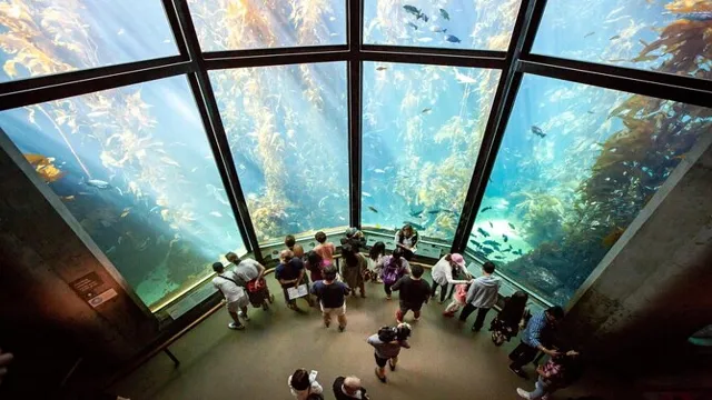 how to get to monterey bay aquarium from san francisco
