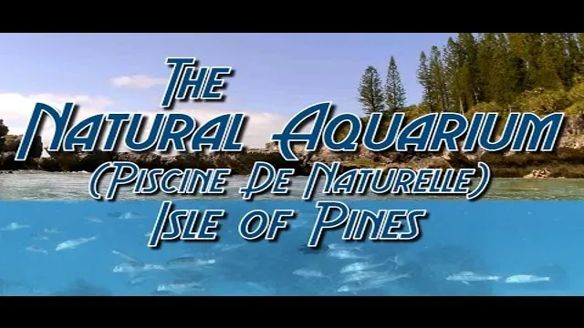 How to Get to Natural Aquarium Isle of Pines: A Complete Guide for Adventurers