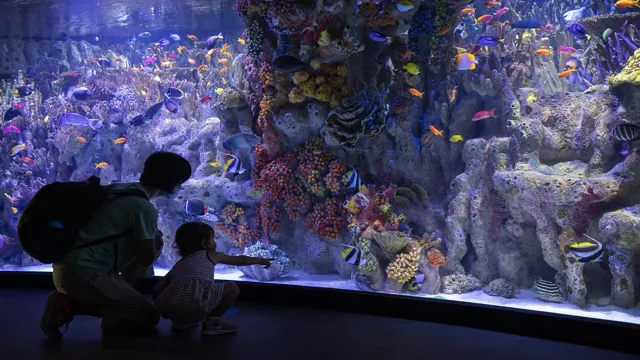 how to get to new england aquarium by mbta
