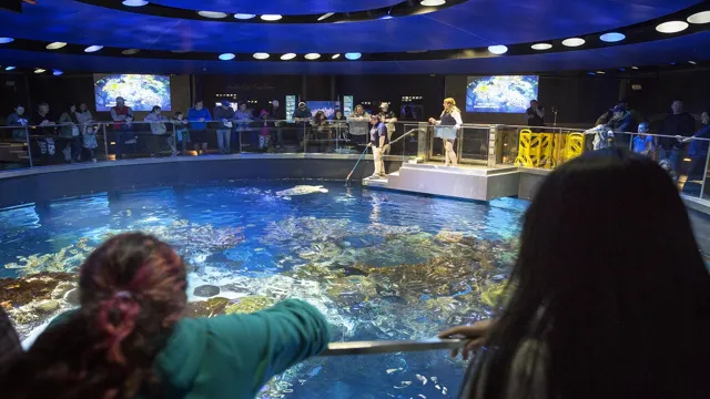 How to Get to New England Aquarium by MBTA: A Step-by-Step Guide for Easy Navigation