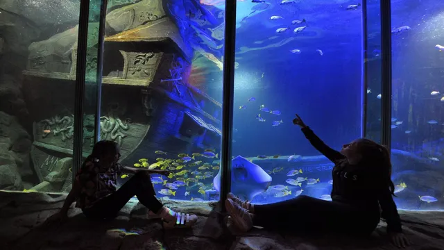 how to get to portaferry aquarium