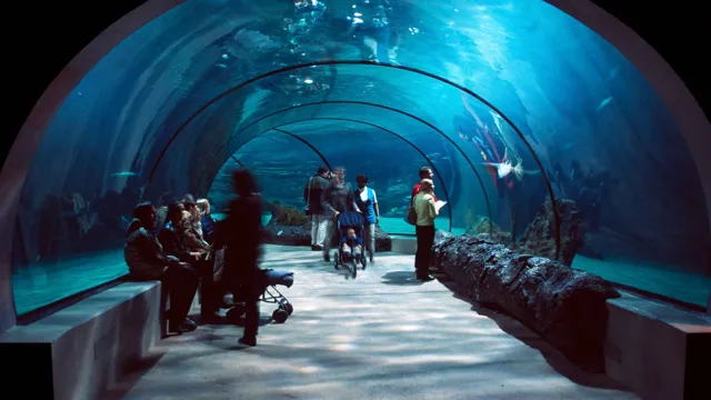 How to Get to Quebec Aquarium: Your Ultimate Guide to Exploring This Spectacular Attraction!