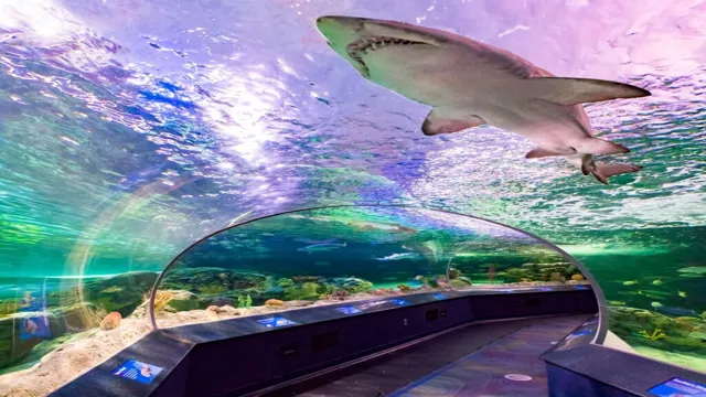 how to get to ripley's aquarium from union station