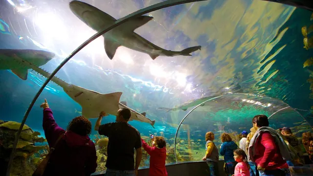 How to Get to Ripley’s Aquarium Pigeon Forge: Your Ultimate Guide