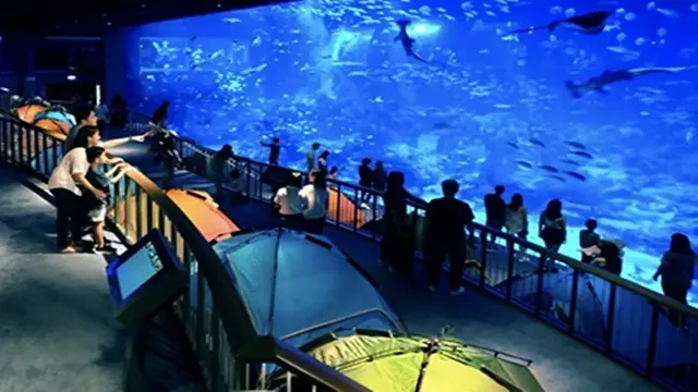 how to get to sea aquarium from harbourfront