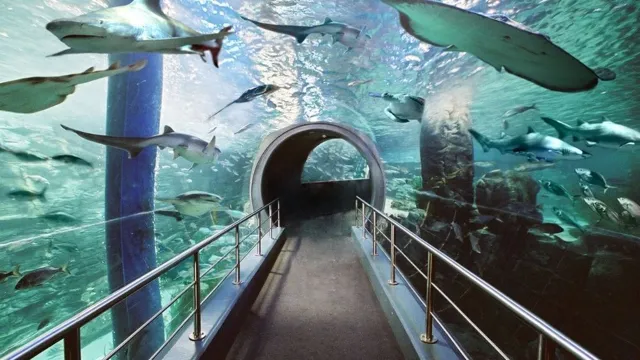 How to Get to Sea Life Melbourne Aquarium: Convenient Transport Options