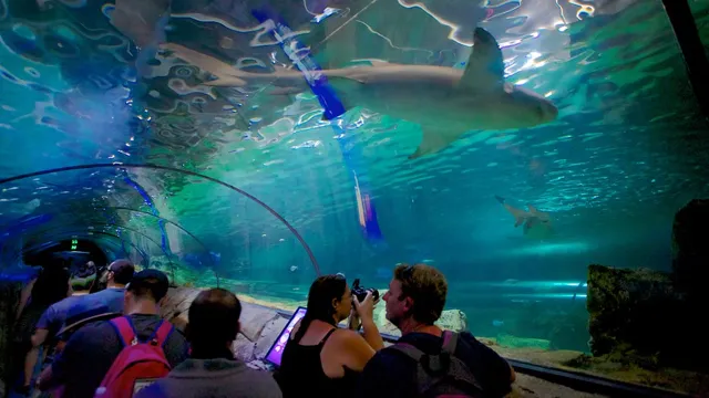 how to get to sea life sydney aquarium
