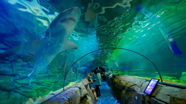 How to Get to Sea Life Sydney Aquarium: Your Ultimate Guide to Exploring This Underwater Wonderland