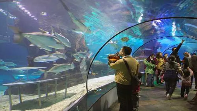how to get to shanghai aquarium