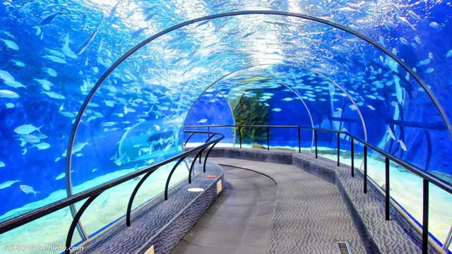 How to Get to Shanghai Aquarium: A Comprehensive Guide to Navigating Your Way to the World-renowned Attraction