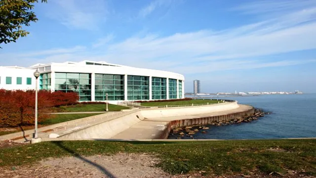 How to Get to Shedd Aquarium from Navy Pier: Your Comprehensive…