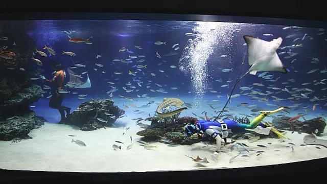 how to get to sunshine aquarium