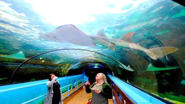 How to Get to Sydney Aquarium: A Stress-Free Guide for Tourists