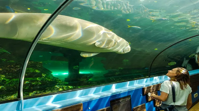 how to get to sydney aquarium by public transport