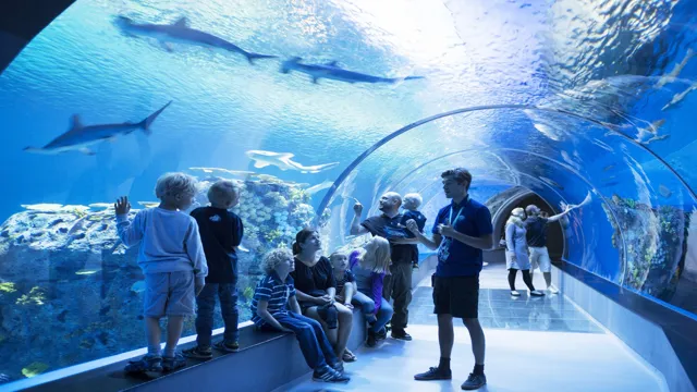 How to Get to the Aquarium in Copenhagen: Your Ultimate Guide to Easy Access