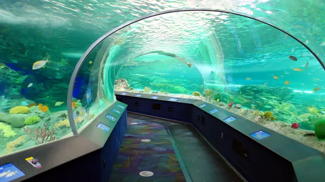 How to Get to The Aquarium in Toronto: Expert Tips and Directions